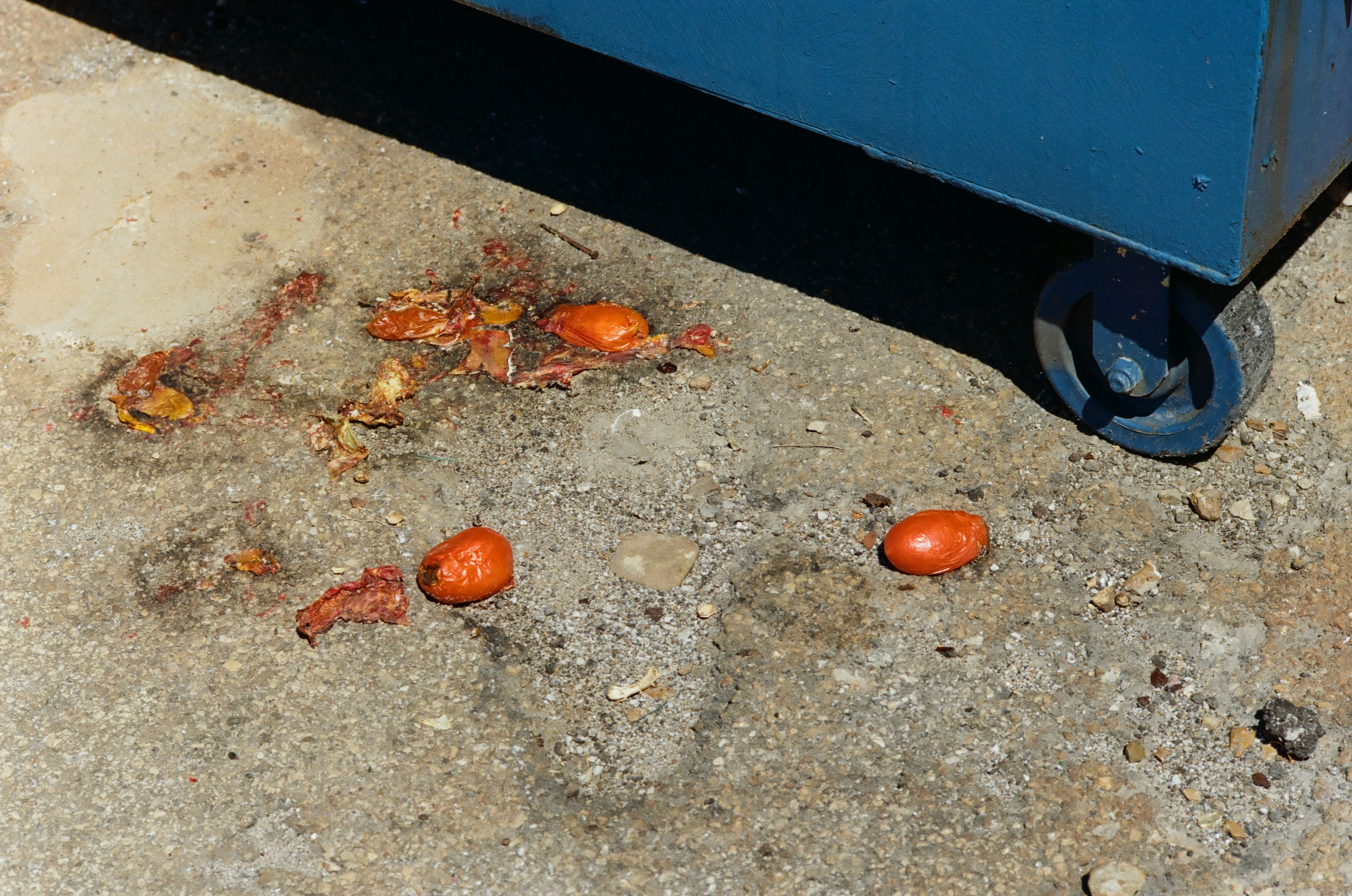 Photo by Michael Lamb