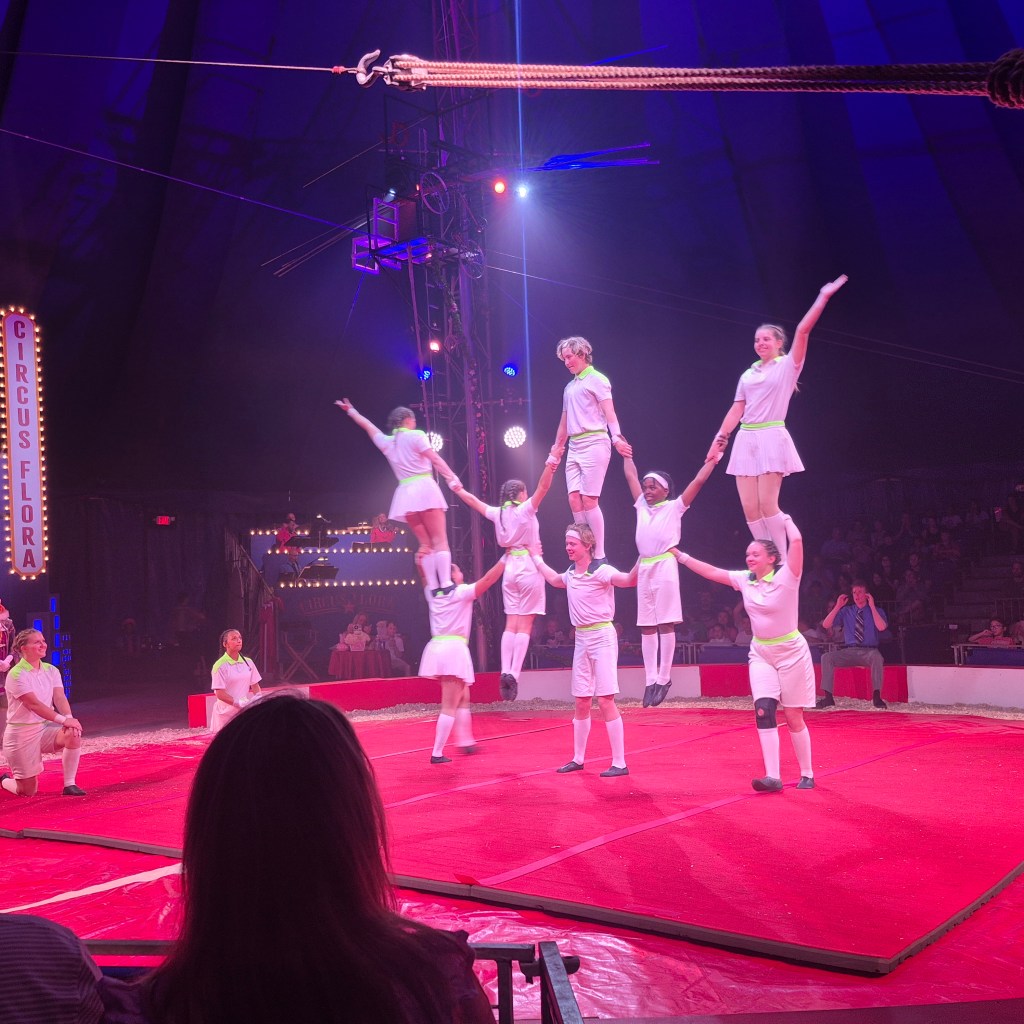 A group of acrobats performing a human pyramid in the center ring of Circus Flora, with colorful lights and audience visible in the background.